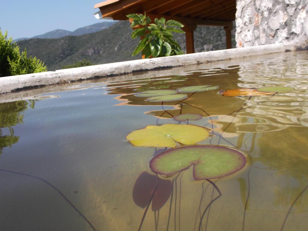 Sivros Stone Cottages Ngoại thất bức ảnh